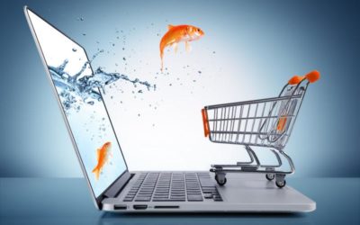L&rsquo;Utilisation du tunnel de conversion sur un site de E-commerce